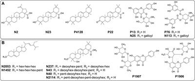 UHPLC-(ESI)-HRMS and NMR-Based Metabolomics Approach to Access the Seasonality of Byrsonima intermedia and Serjania marginata From Brazilian Cerrado Flora Diversity